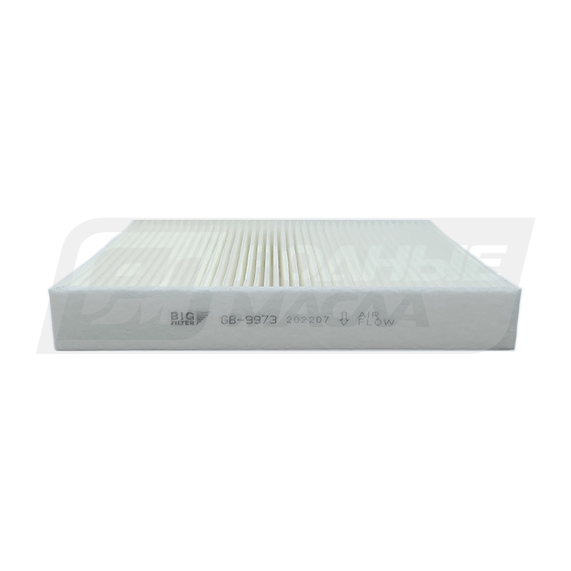 BIG FILTER GB-9973 (VAG 6R0819653, 6R0820367, JZW819653F) GB9973